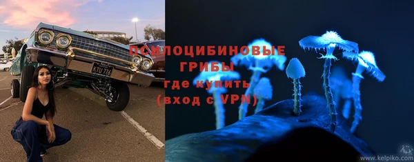 ALPHA PVP Касимов