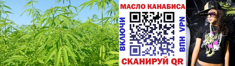 Дистиллят ТГК Wax Купить где Инза