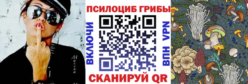 Псилоцибиновые грибы мухоморы  Купить закладки  Инза 
